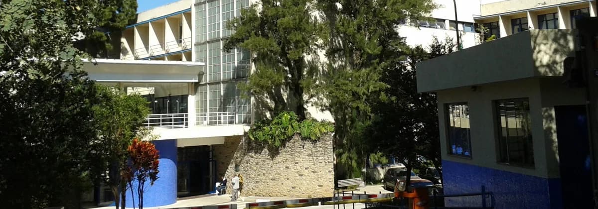 Escola de Enfermagem